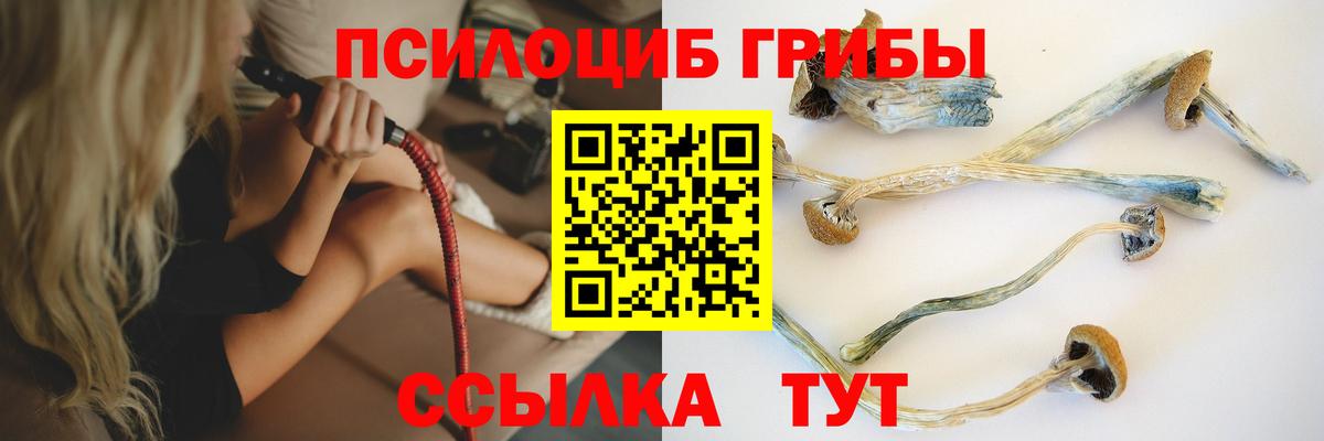 Псилоцибиновые грибы Psilocybe  Галлюциногенные грибы GOLDEN TEACHER  Вход с VPN  Димитровград 